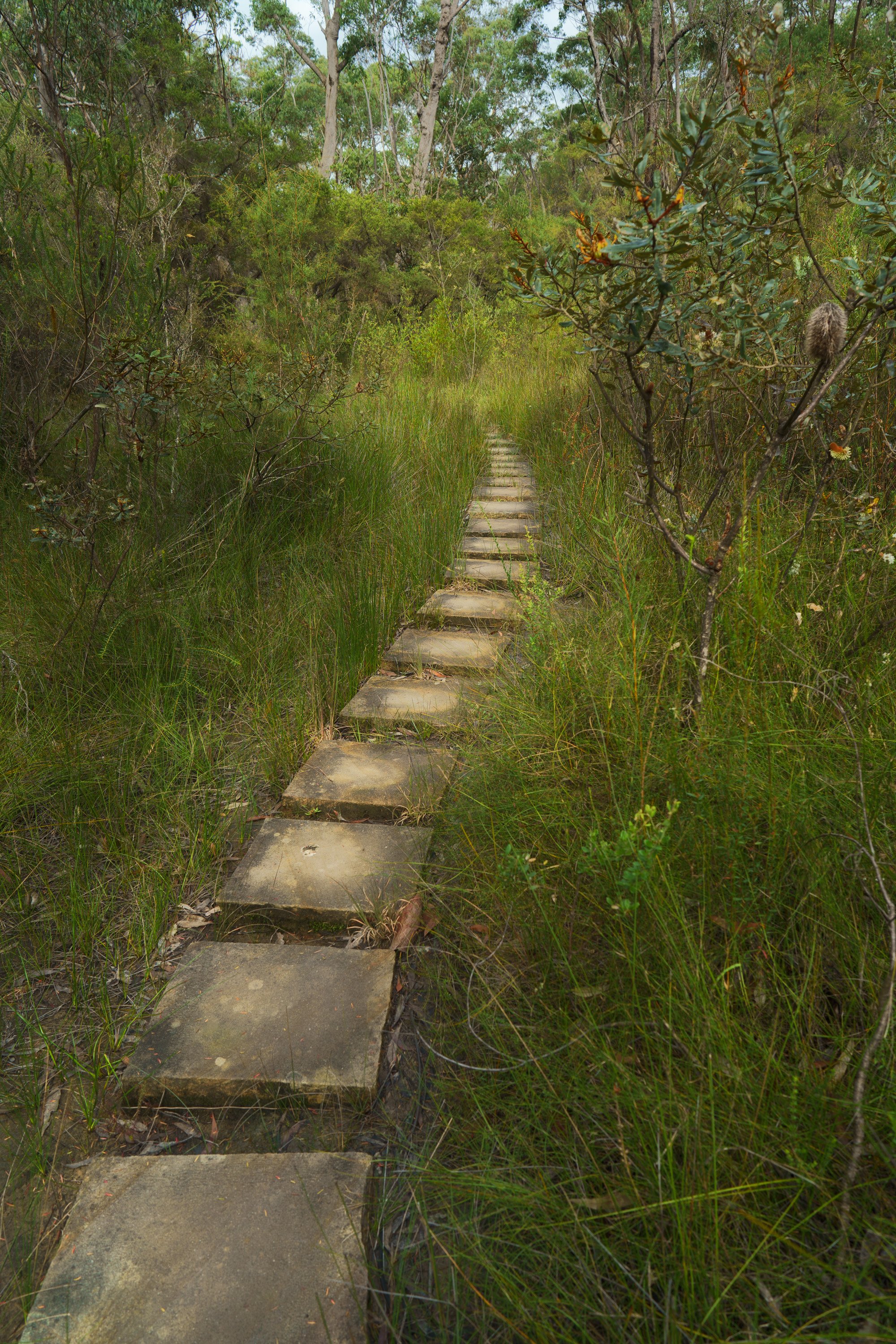 Girrakoolpath