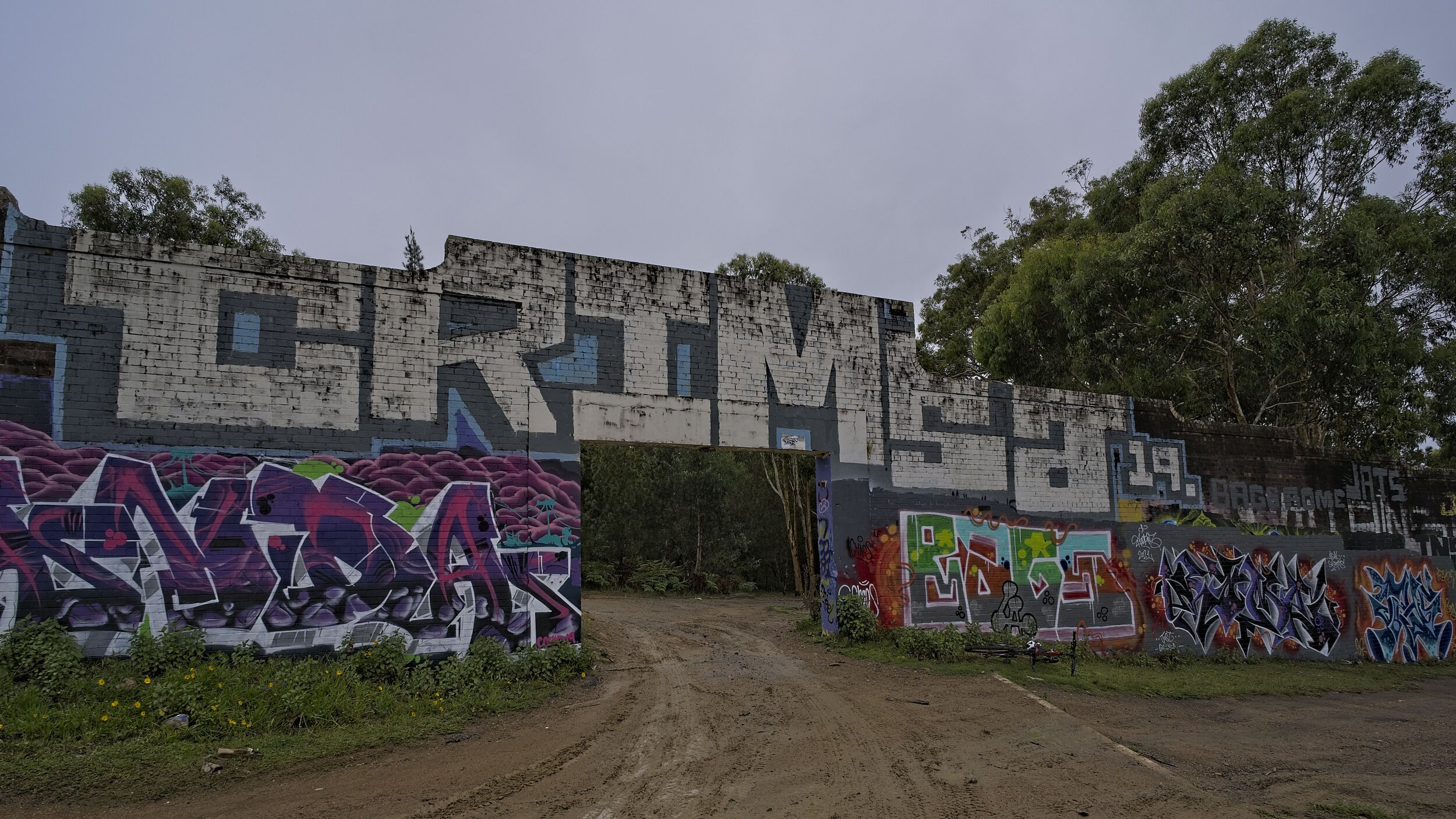 Dsc03466