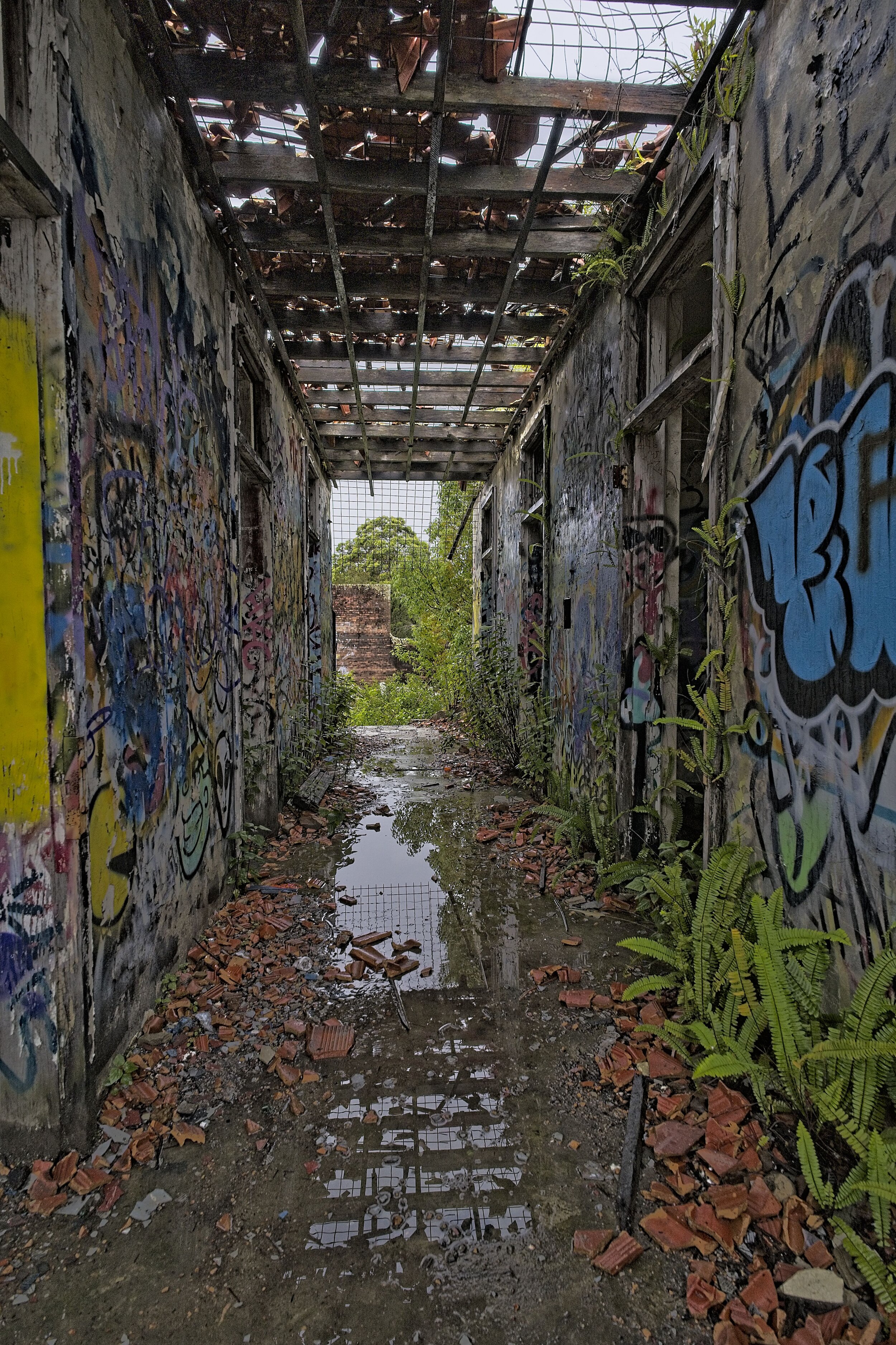 Dsc03474
