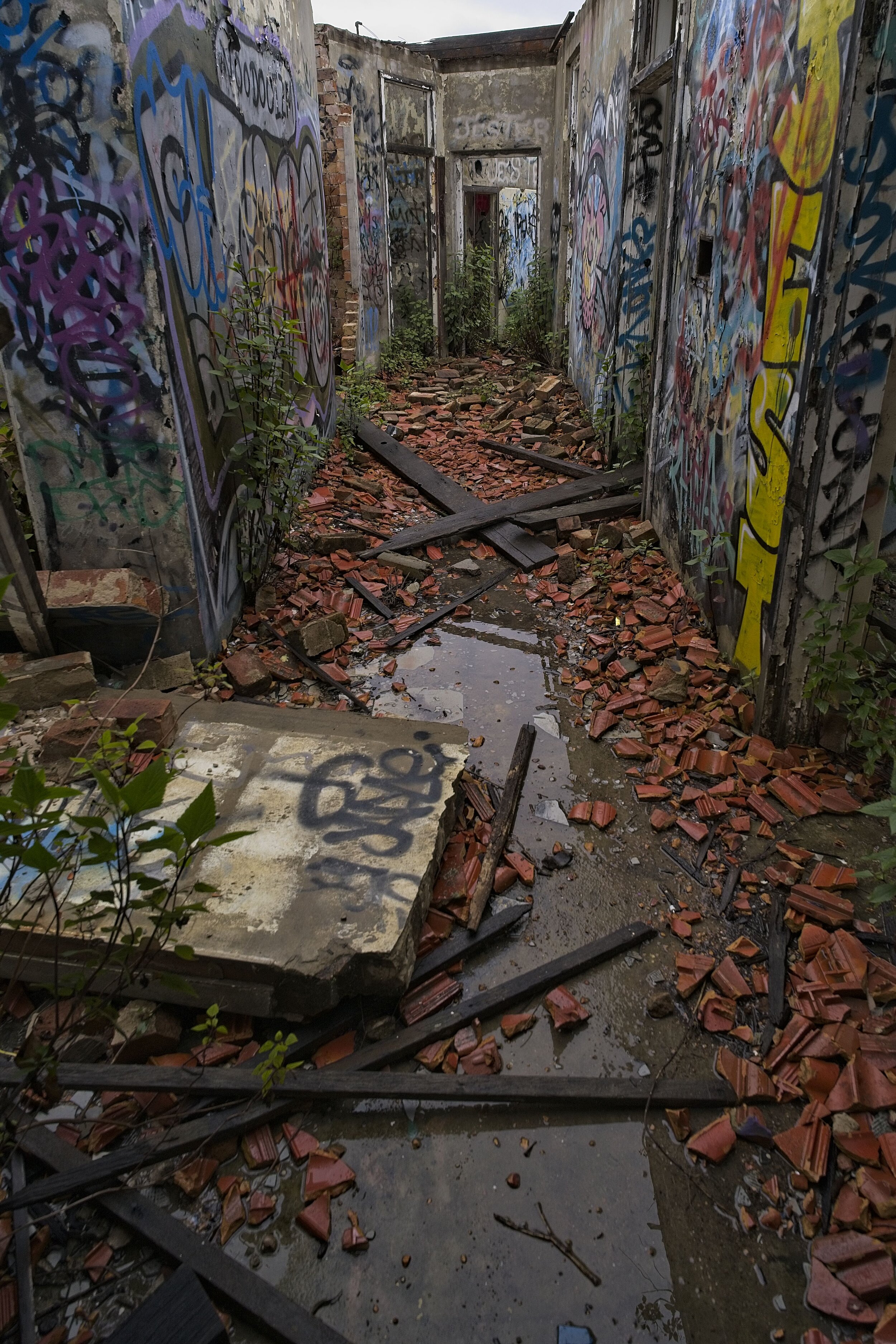 Dsc03475