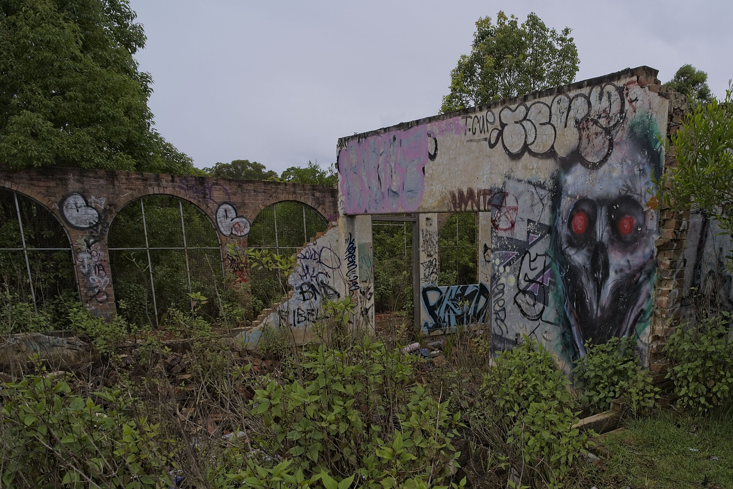 Dsc03484