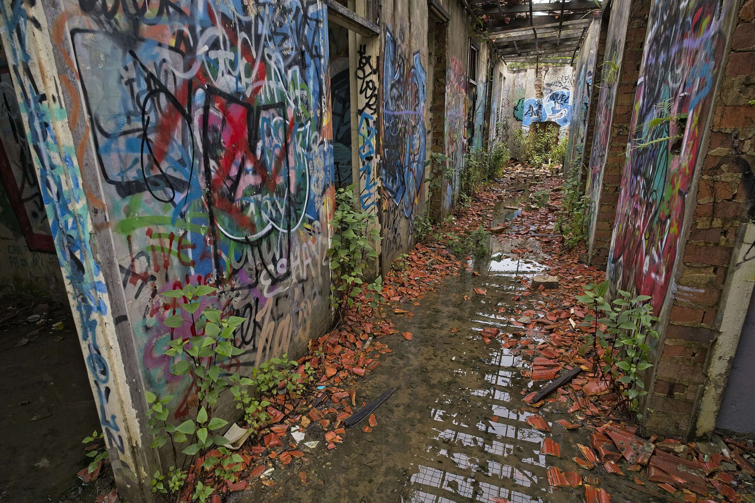 Dsc03488
