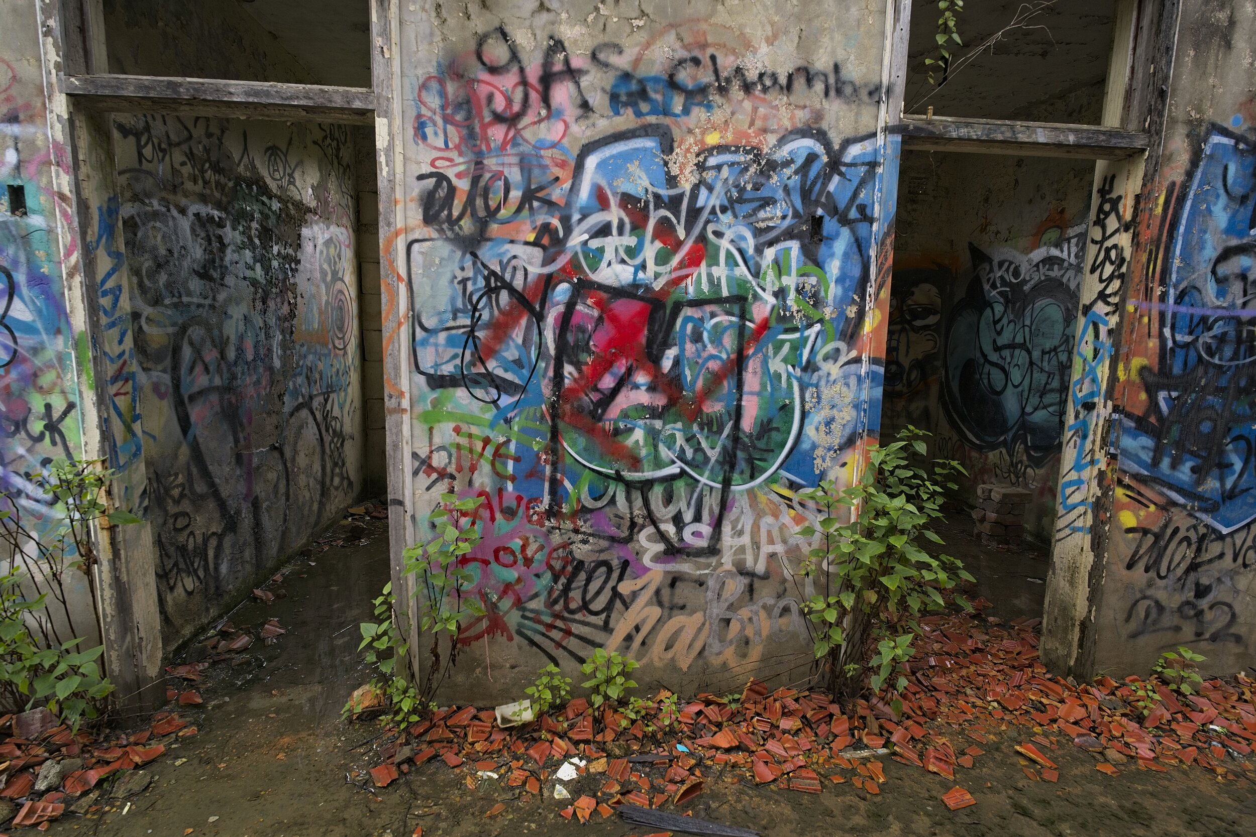Dsc03489