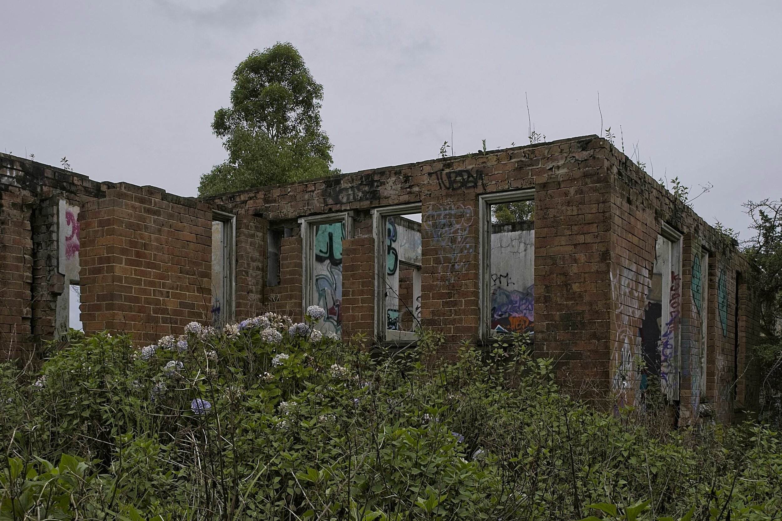 Dsc03494