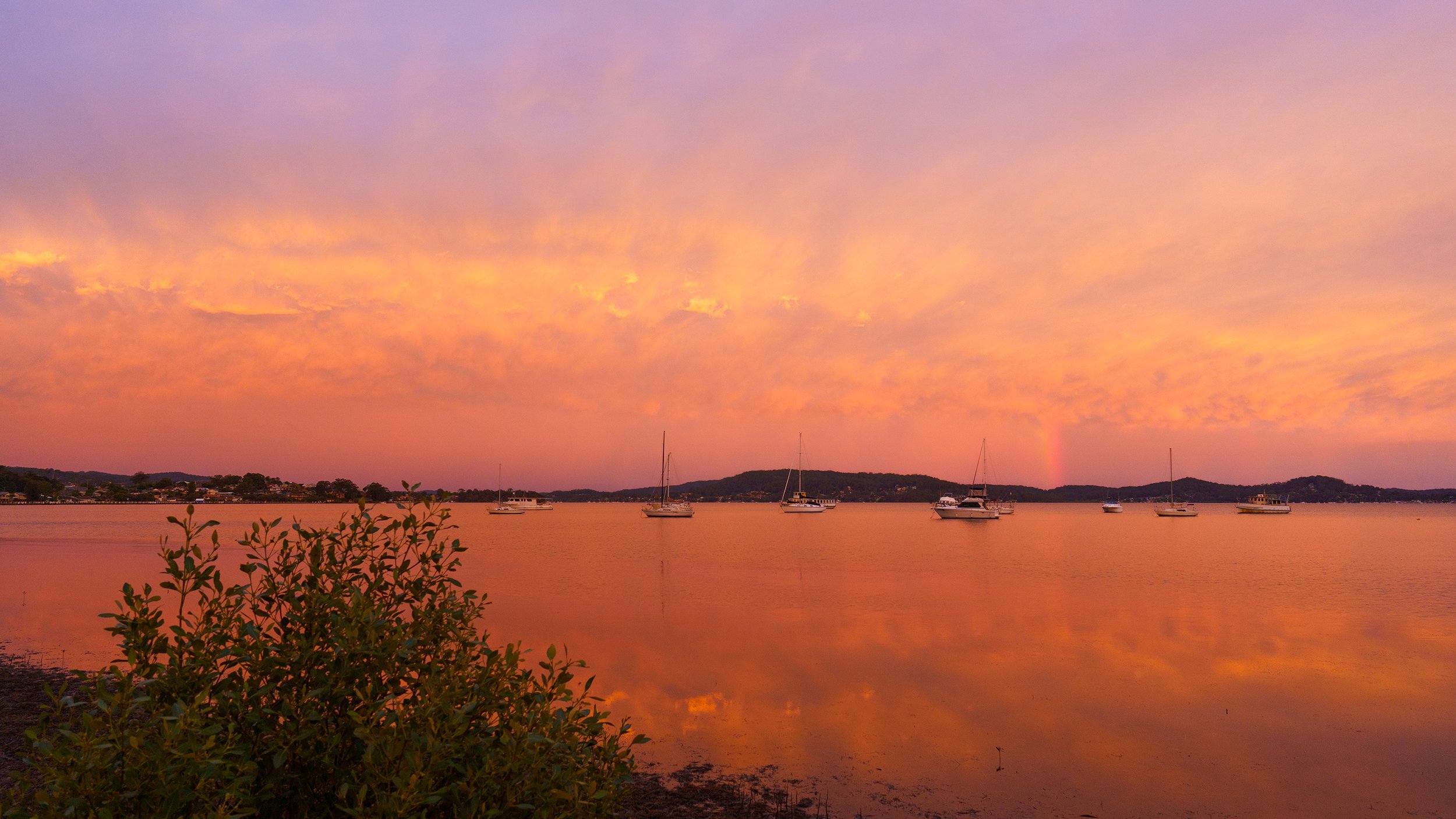 Tascottsunset20211219