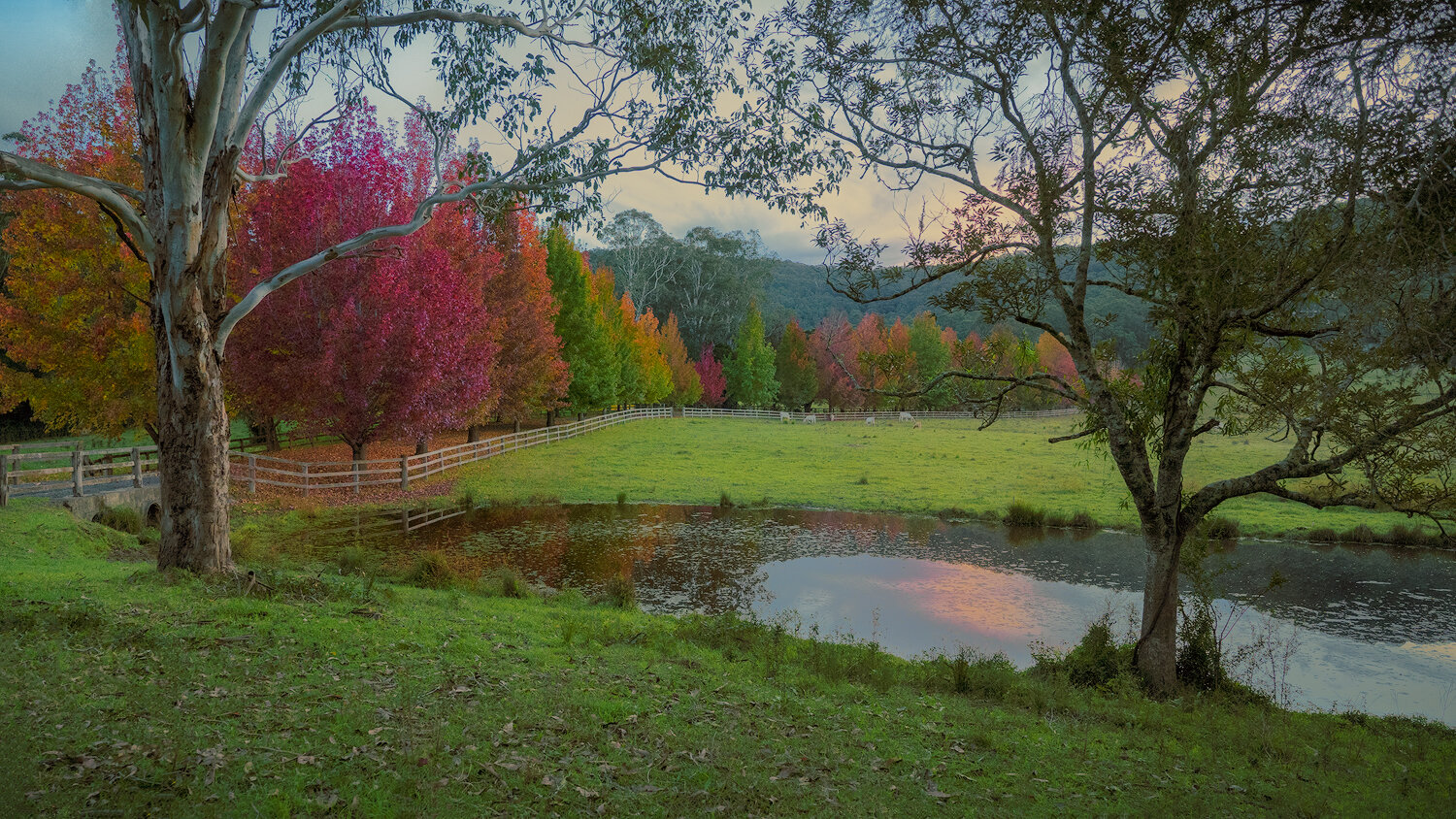 Yarramalong