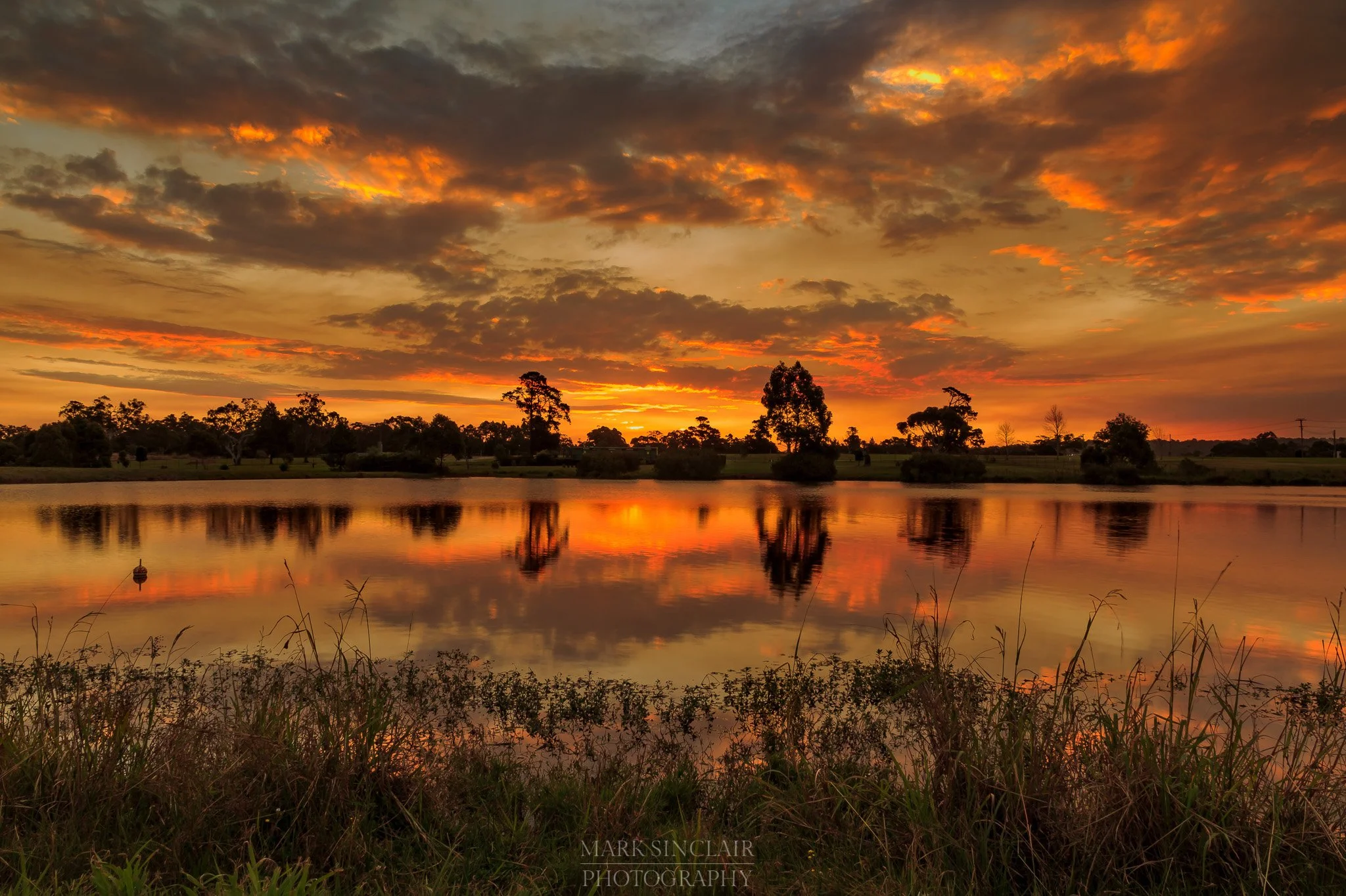 My Coast - Kariong