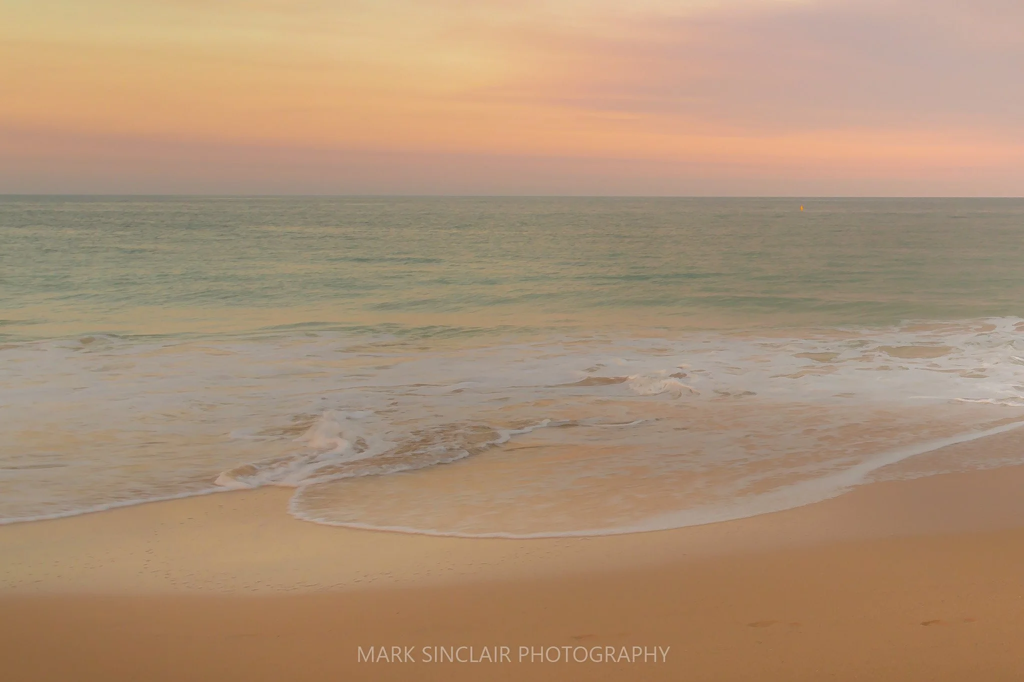 My Coast - Terrigal