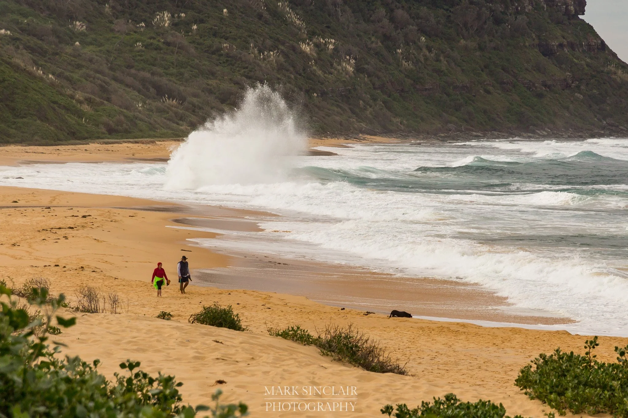 My Coast - Forresters Beach