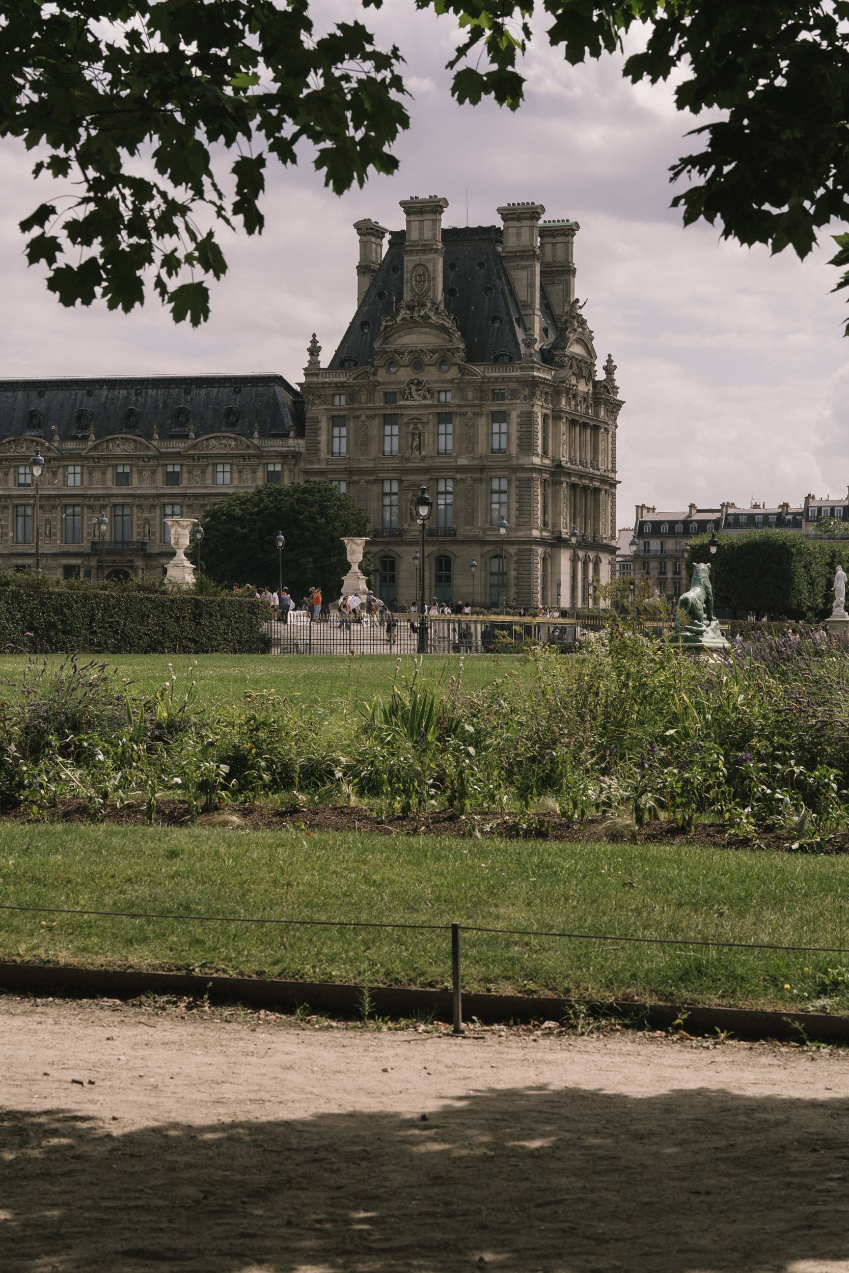 Dsc04565