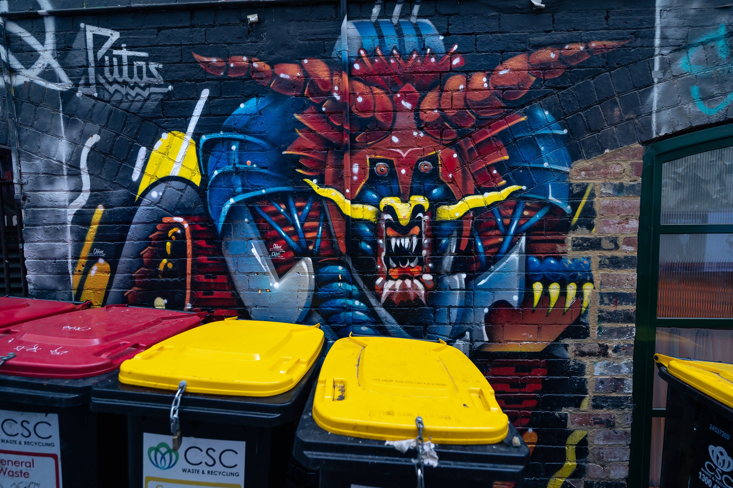 Dsc07161